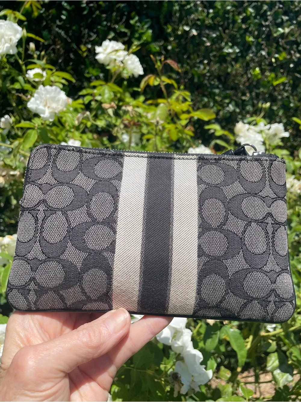 Coach Dempsey C8841 Large Corner Zip Wristlet Signature Jacquard Black Stripe